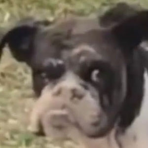 Meet your Posher, Seth